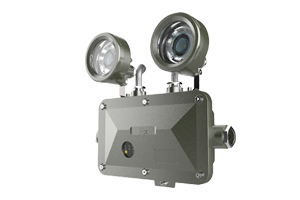 1606202945111340.jpg 雙頭應急燈.jpg